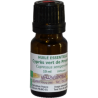 Organic essential oil of green cypress trees from Provence - Abeilles et Essentielles